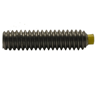 A6510060012NT M6 X 12 SOCKET SET SCREW NYLON TIP STST